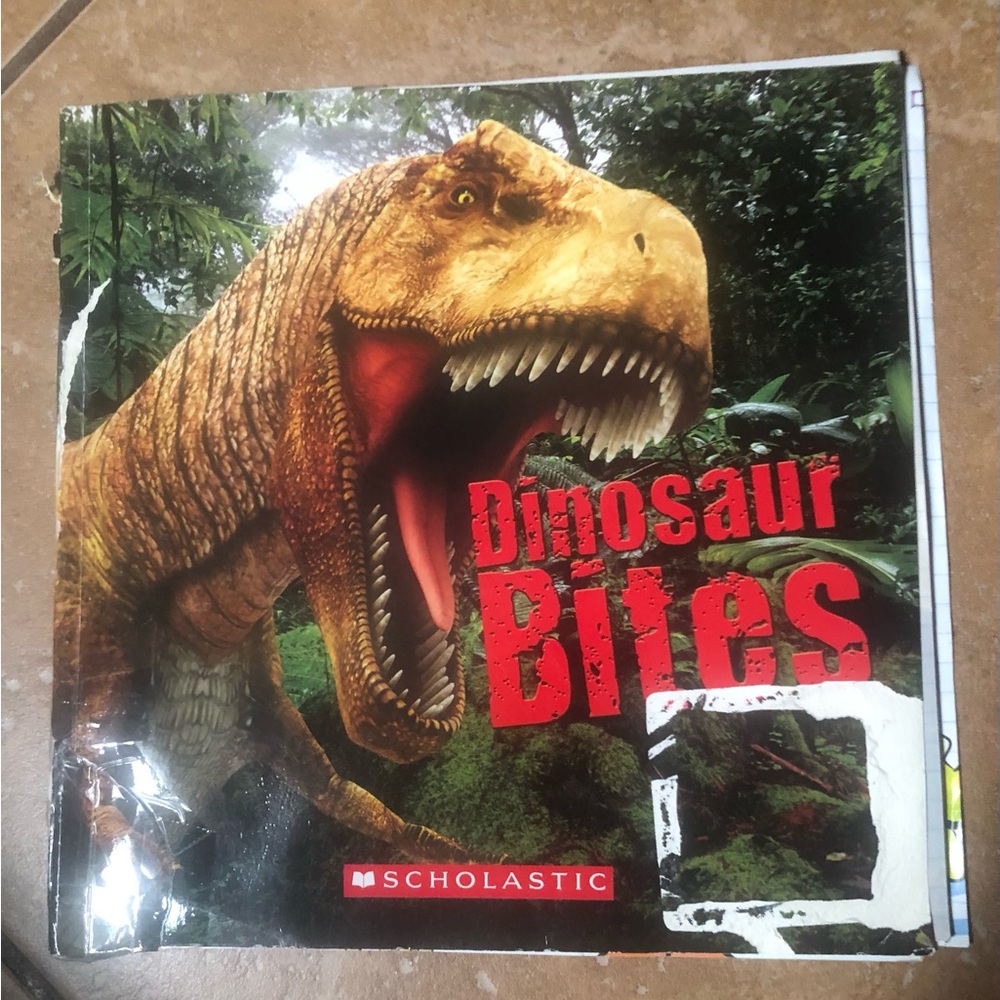 “Dinosaur Bites” Book - Written and designed by Heather Dakota.